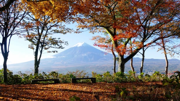 The fall season of Fuji mountain