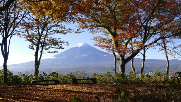 The fall season of Fuji mountain