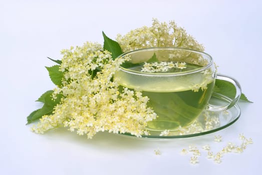Tea elder flower - tea elder flower 04