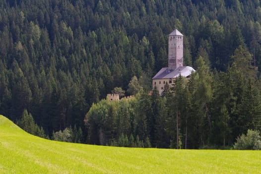 in South Tyrol,The castle Welsberg - in alto Adige,the castle Welsberg