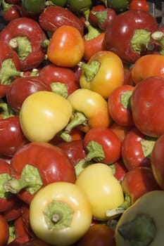 Peppers on market