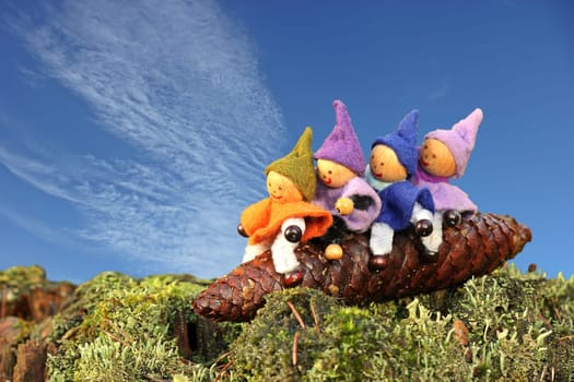 Four gnomes ride on a spruce cone
