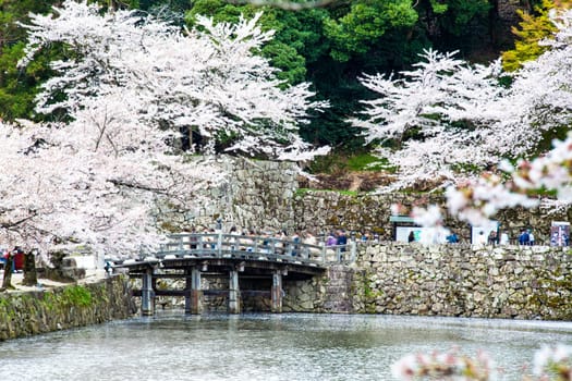 Kyoto, Japan - July, 12