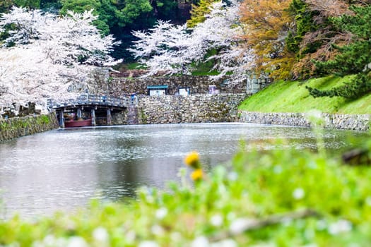 Kyoto, Japan - July, 12