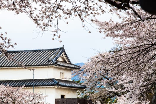 Kyoto, Japan - July, 12