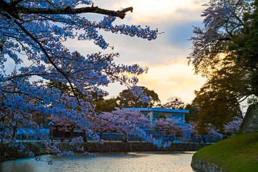 Kyoto, Japan - July, 12