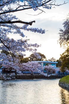 Kyoto, Japan - July, 12