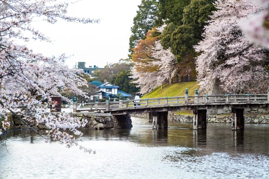 Kyoto, Japan - July, 12