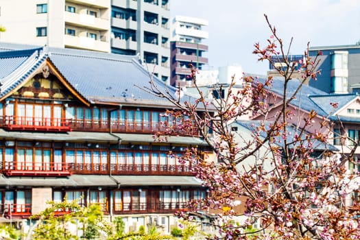 Kyoto, Japan - July, 12