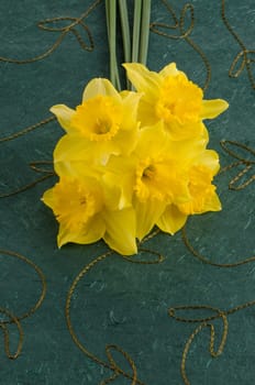 Yellow jonquil flowers on green background.