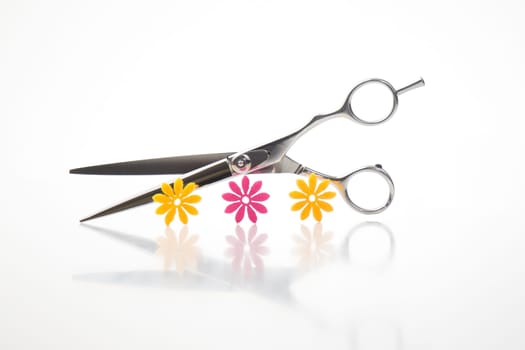 Time to cut,cut,section,divorce,divorce,separation,separation,cut,hairdresser.