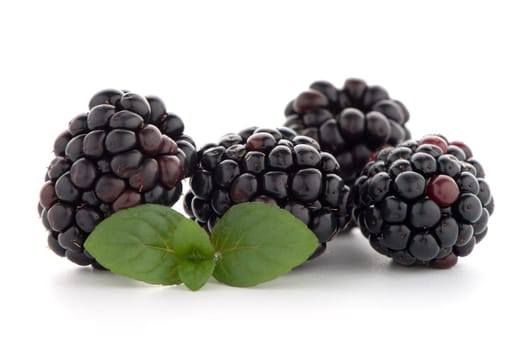 Blackberries with leaves isolated on white background.