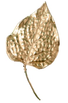 Christmas decorative golden leaves isolated on white background.