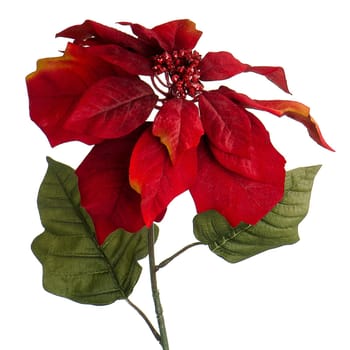 Red Christmas decoration isolated  on white background.