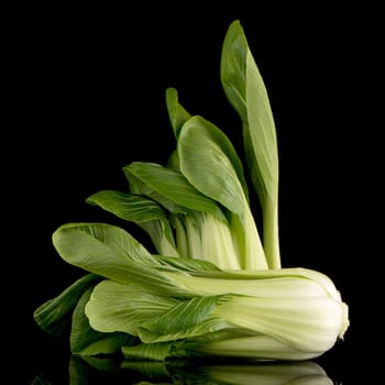 Pak choi on black background.