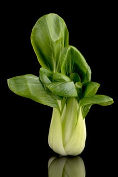Pak choi on black background.