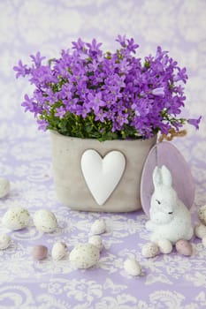 Purple bellflowers in ceramic pot us Easter decoration