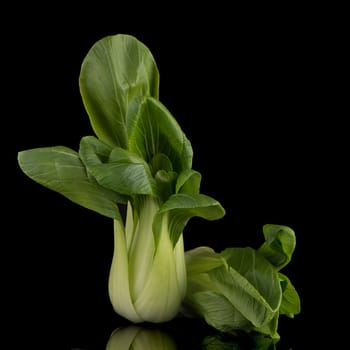 Pak choi on black background.