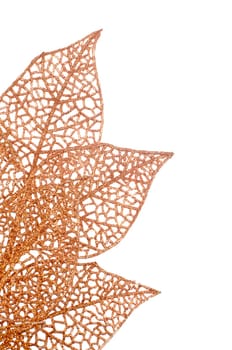 Christmas decorative orange leaves isolated on white background.