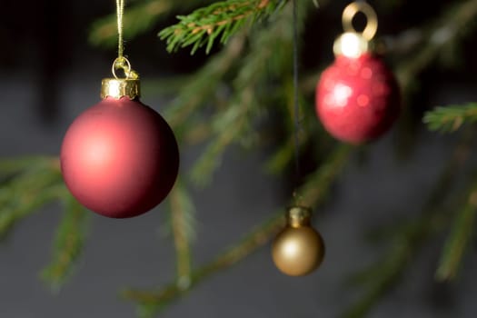 Christmas Tree Balls in Spruce Tree close up.