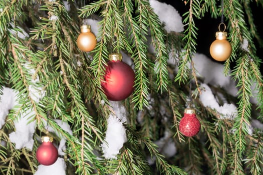 Christmas Tree Balls in Spruce Tree with snow.