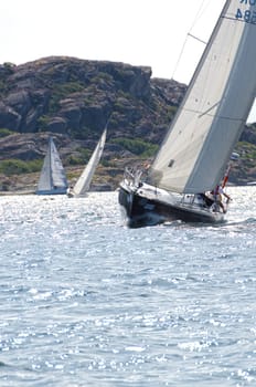one sail competition on swedish westcoast one lonely boat