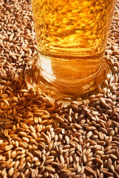 Close-up of a beer glass with wheat,cereals,barley,malt