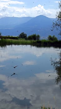 Burglehenpark,village Tyrol