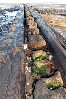 Bohle,Cuxhaven Beach
