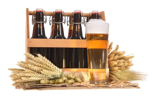 Beer carriers and beer glass with wheat,barley,hops and malt Insulated On White