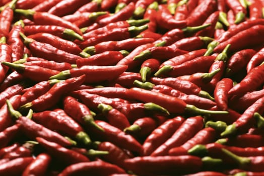 Image of red peppers with depth of field and focus on the center.