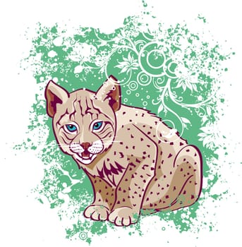 Young lynx on a green background