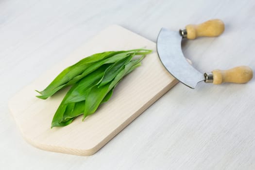 bear garlic leaves on wooden board