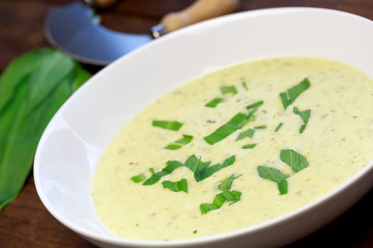 bear garlic soup on white teller