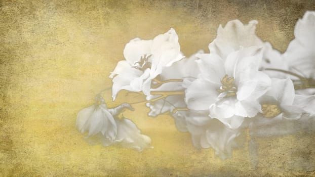 old paper background spot ochre beige flowers white