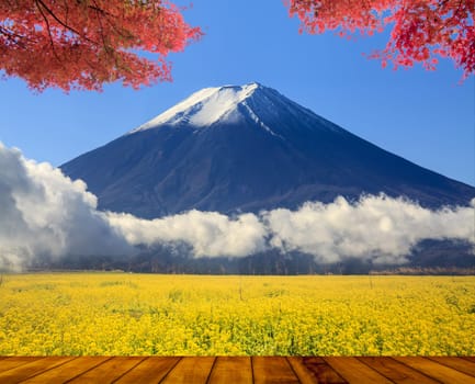 The beautiful mountain with nice maple and flower