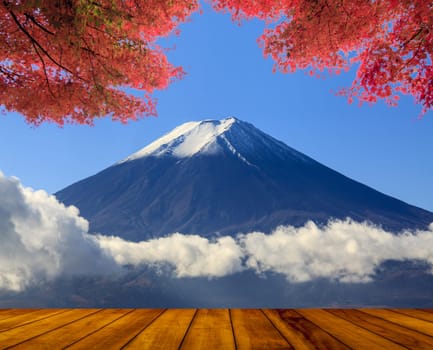 The beautiful mountain with nice maple and flower