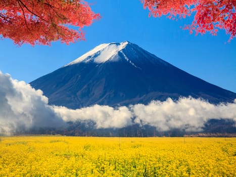 The image of beautiful fuji mountain japan