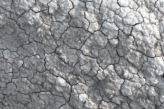 Earth texture