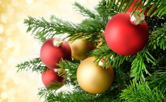 Christmas baubles hang in a clever way on the dense branches of a fir tree