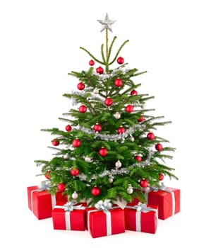 Bright studio shot of red and silver decorated Christmas tree with gifts on white