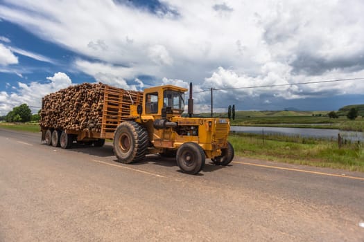 Tractor trailer with cut tree logs in mountain countryside to wood mill.