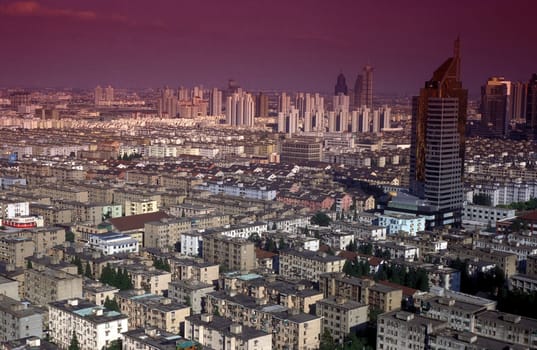 the skyline of Pudong in the City of Shanghai in china in east asia.