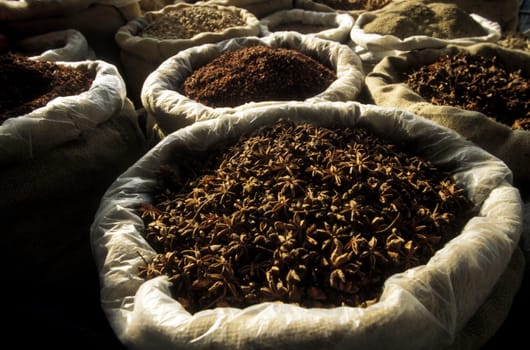 a medicine market in the city of xian in china in east asia.