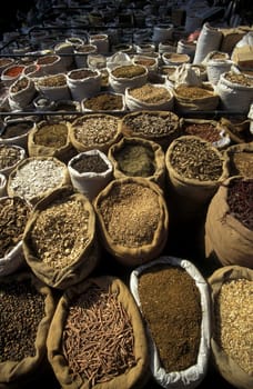 a medicine market in the city of xian in china in east asia.