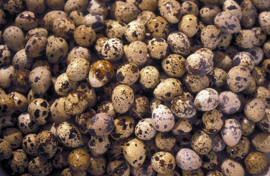 eggs at the Market in the city of Chongqing in the province of Sichuan in china in east asia.