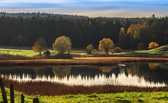 autumn