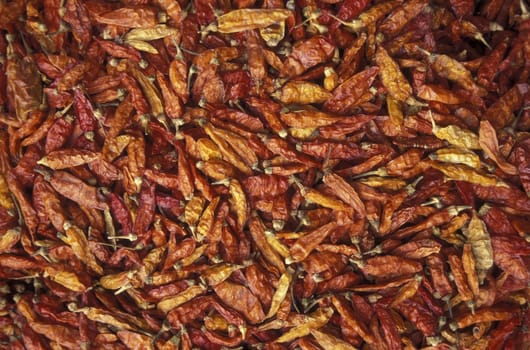 chili on the Market streets of Chongqing in the province of Sichuan in china in east asia.
