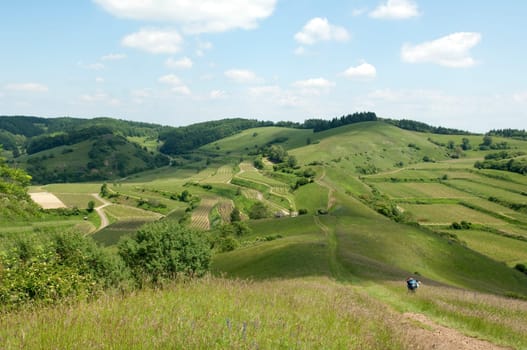 Badberg  Alt-Vogtsburg,kaiserstuhl
