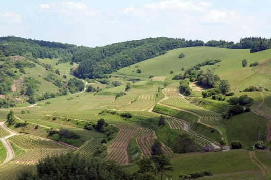 Badberg  Alt-Vogtsburg,kaiserstuhl